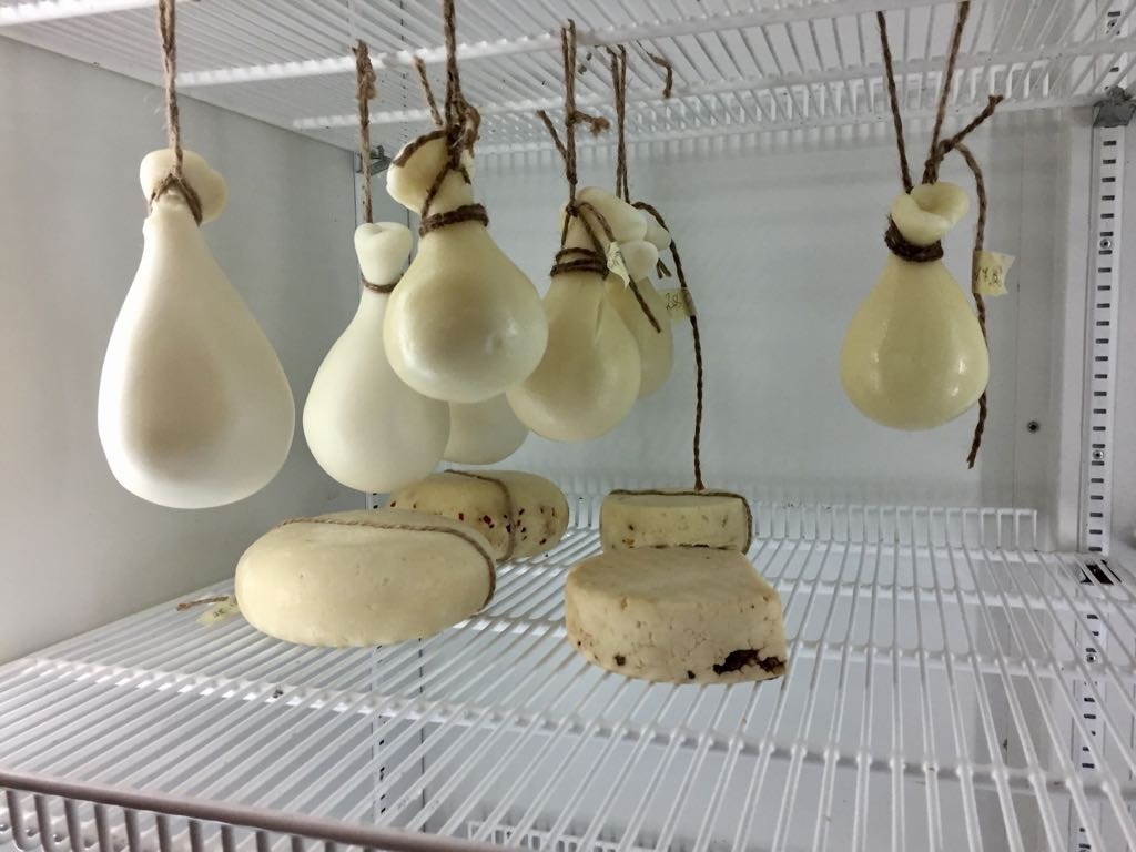 шпагат для подвешивания сыров
