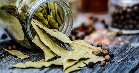 Лавровый лист