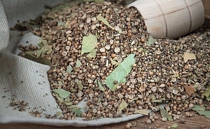 Итальянская